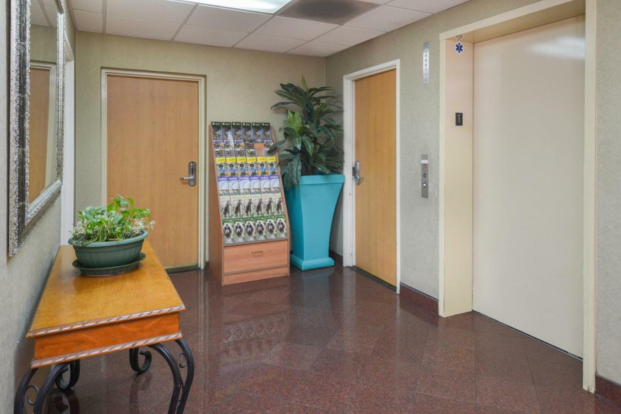 H3 Inn & Suites - Lax Airport - Los Angeles Inglewood Exteriör bild